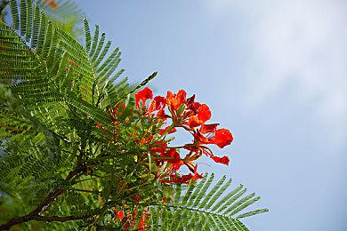 《天国：拯救2》为何有LGBTQ：避免性别歧视指控